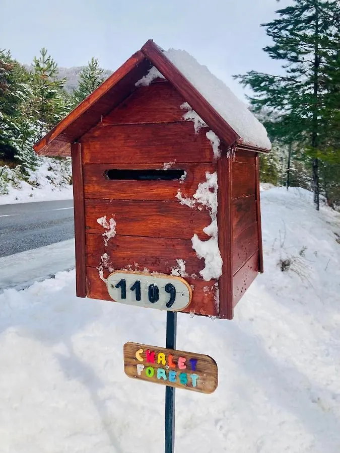 Appartement Chalet Forest Saint-Apollinaire